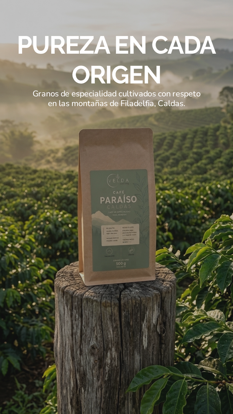 Café Paraíso Caldas